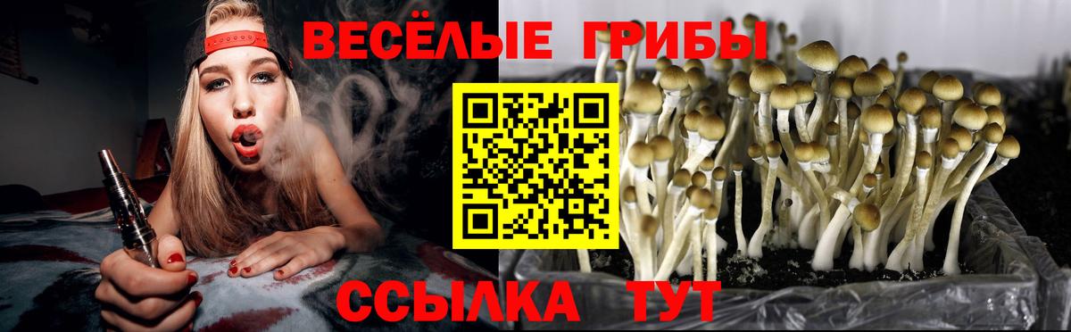 Тында  Псилоцибиновые грибы ЛСД  Вход с VPN 